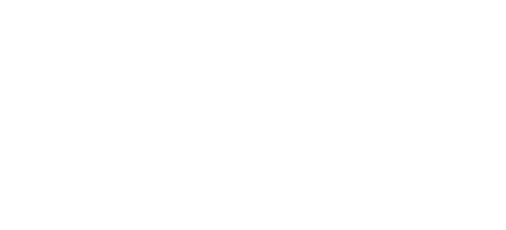 Everything Is New